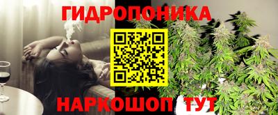 а пвп мука Бийск