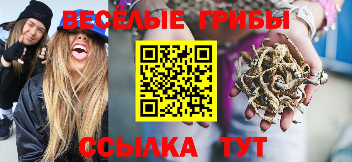 Киселёвск  Галлюциногенные грибы Psilocybine cubensis  Вход с VPN  Галлюциногенные грибы Psilocybe 
